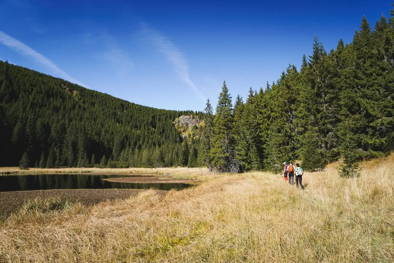 Hikers on a trail in a scenic landscape with mountains, trees, and a lake.